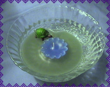 Lily Pad